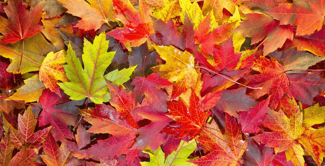 Fall Prevention Tips